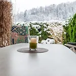 Schwarzwald Nescht Triberg *