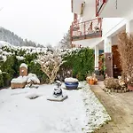 Schwarzwald Nescht Triberg Triberg im Schwarzwald