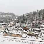 Schwarzwald Nescht Triberg *