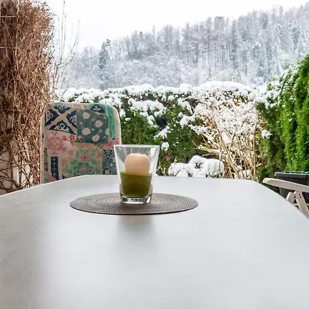 Schwarzwald Nescht Triberg *
