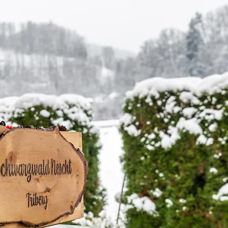 Schwarzwald Nescht Triberg Apartment