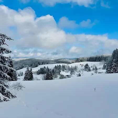 Schwarzwald Nescht Triberg