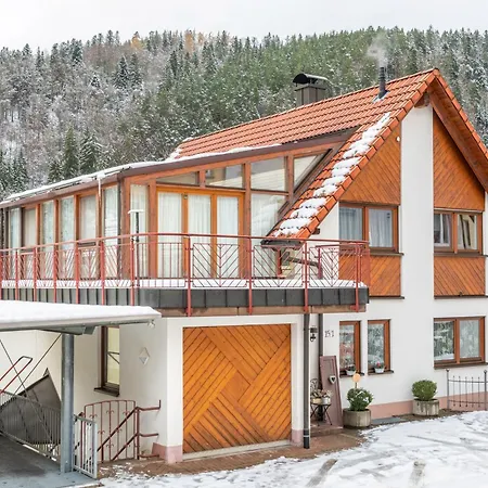 Schwarzwald Nescht Triberg Apartment Triberg im Schwarzwald