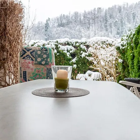 Schwarzwald Nescht Triberg Apartman