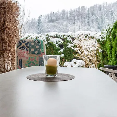 Schwarzwald Nescht Triberg Apartman *