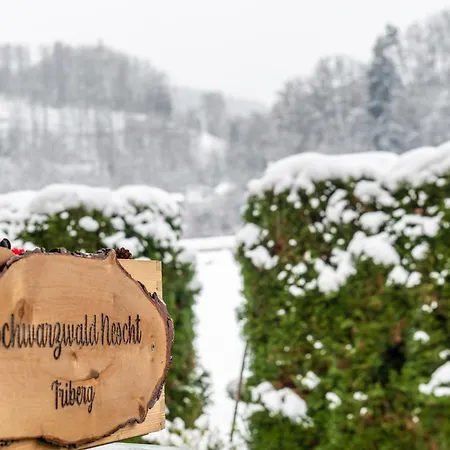 Apartman Schwarzwald Nescht Triberg Triberg im Schwarzwald
