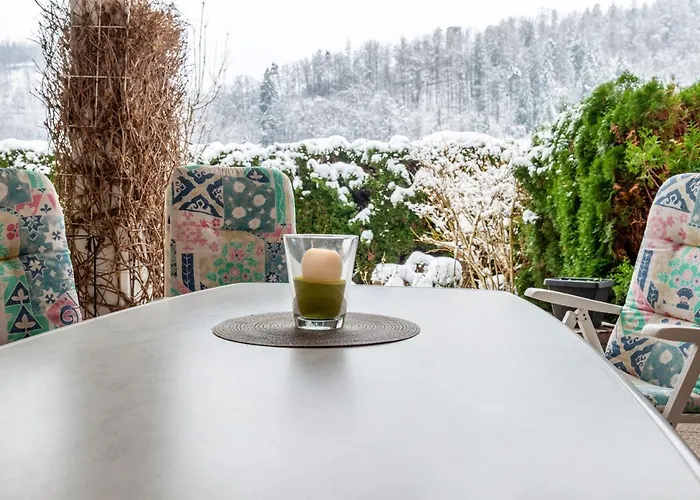 Schwarzwald Nescht Triberg *